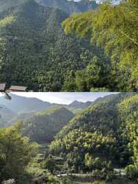 承包松陽古村雲海!700米山谷間的原舍揽樹。