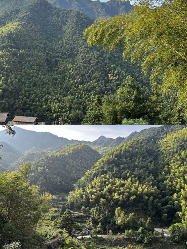 承包松陽古村雲海!700米山谷間的原舍揽樹。
