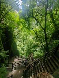 廣元曾家山——天然氧吧，享有溶洞王國和石林洞鄉之美譽。