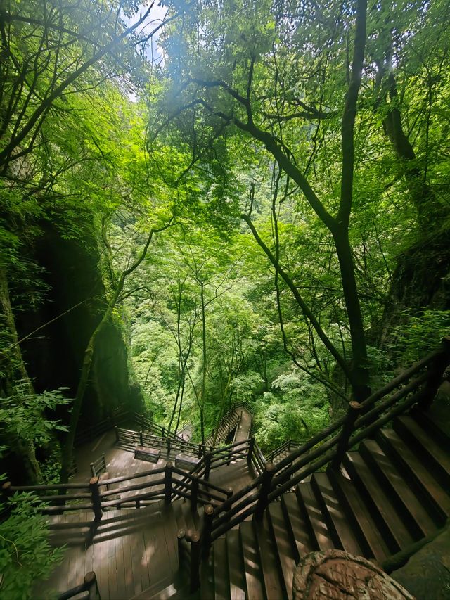 廣元曾家山——天然氧吧，享有溶洞王國和石林洞鄉之美譽。