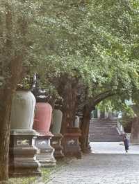 寧波古剎中的頂流——天童寺。