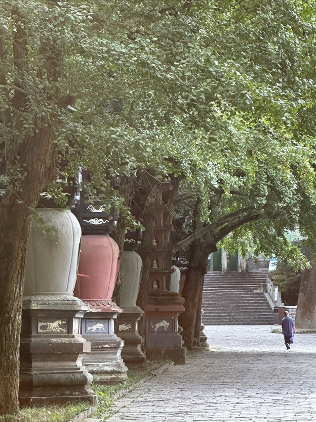 寧波古剎中的頂流——天童寺。