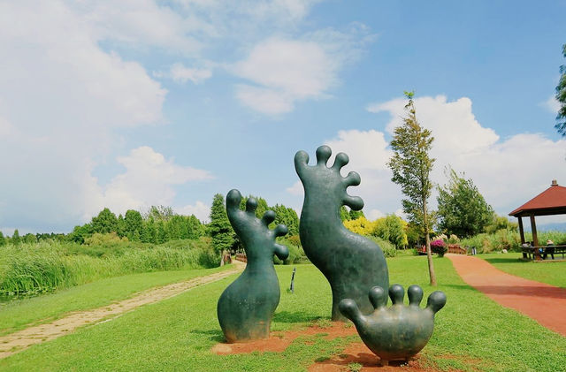 寶豐濕地公園旅遊，環境優美，風景如畫，是休閒遊好去處。