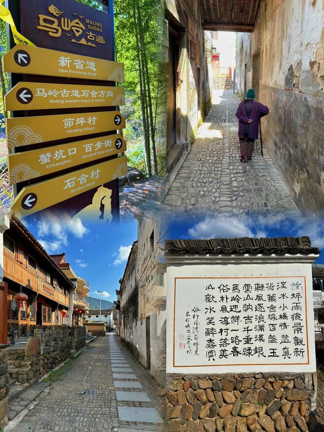 探索杭州桐廬馬嶺古道：新手遠足者的天堂。