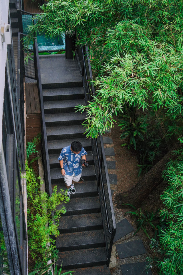 重慶南山…想在這裡躺一輩子的地方。