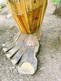 西雅圖自然之旅｜探索伊薩誇的「Jakob Two Tree」。