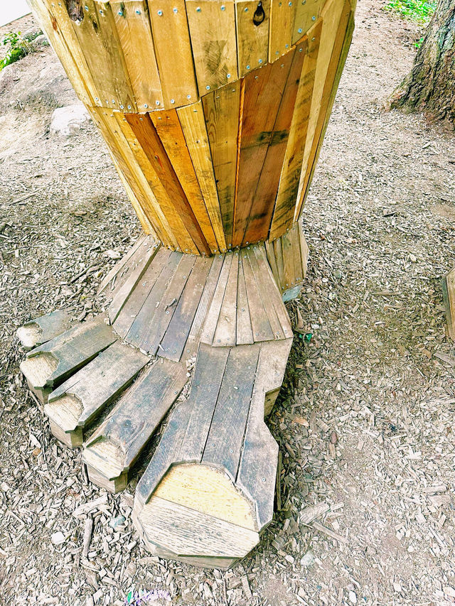 西雅圖自然之旅｜探索伊薩誇的「Jakob Two Tree」。