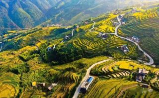Dahua Yao Tiger-shaped Mountain.