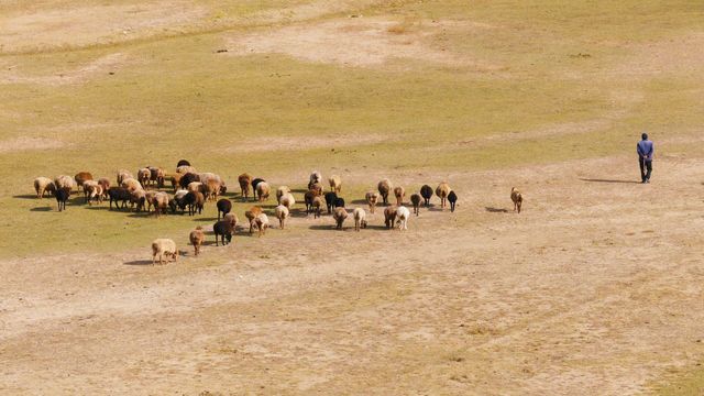 人生是曠野，南疆不之荒野。