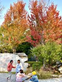 勞模牆邊上的一抹紅色 明城牆遺址公園北京。