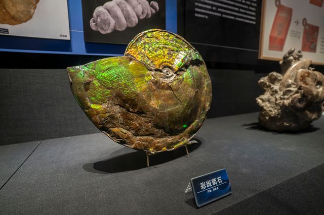 【走進保定中國古動物博物館，探尋家鄉的自然奧秘】。