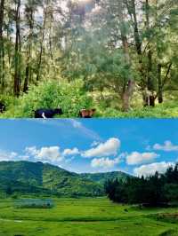探秘川島秘境：海上仙境等你來遊。
