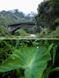 雲鶴水岸民宿。