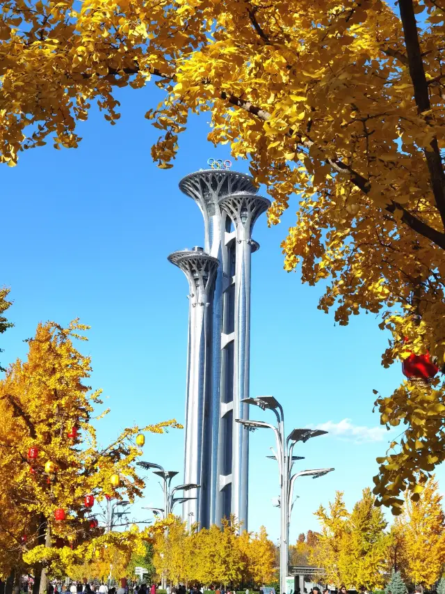 奧林匹克公園。