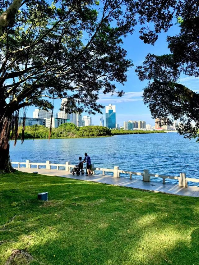 廈門真的看不厭系列之白鷺洲公園。