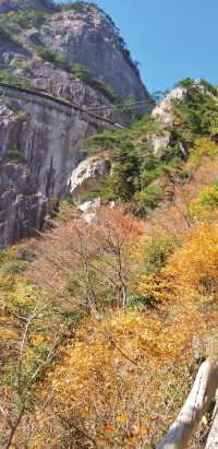 並非黃山！安徽這座山隱匿着一條絕美的賞秋路線。