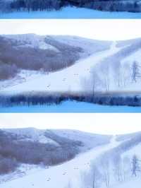 超讚亞布力陽光度假村滑雪場開板啦！