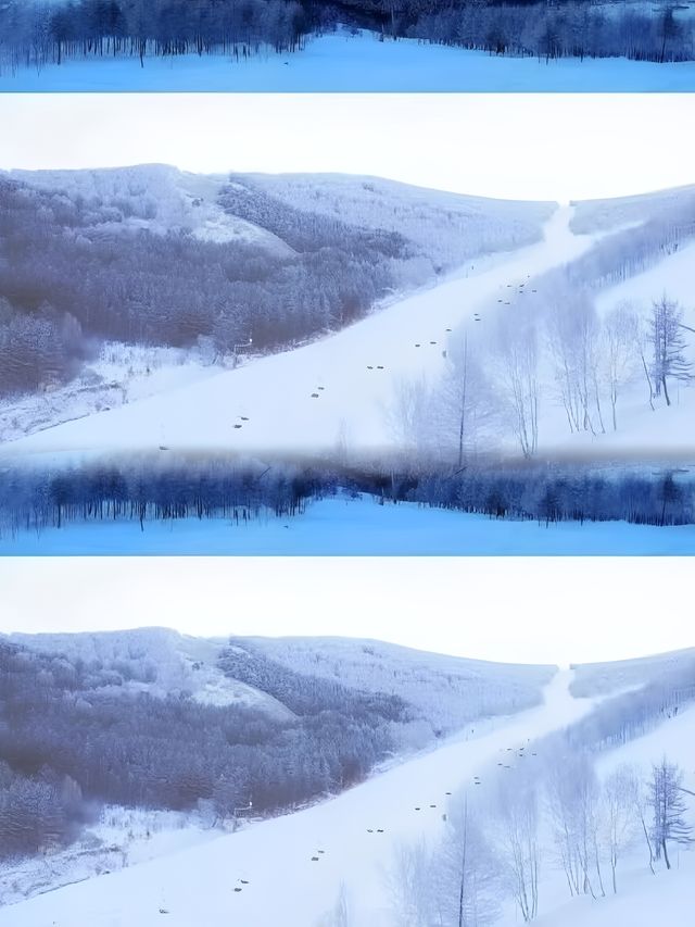 超讚亞布力陽光度假村滑雪場開板啦！