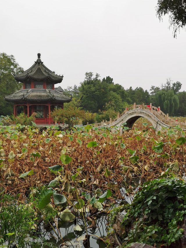 【河北保定】古蓮花池。。