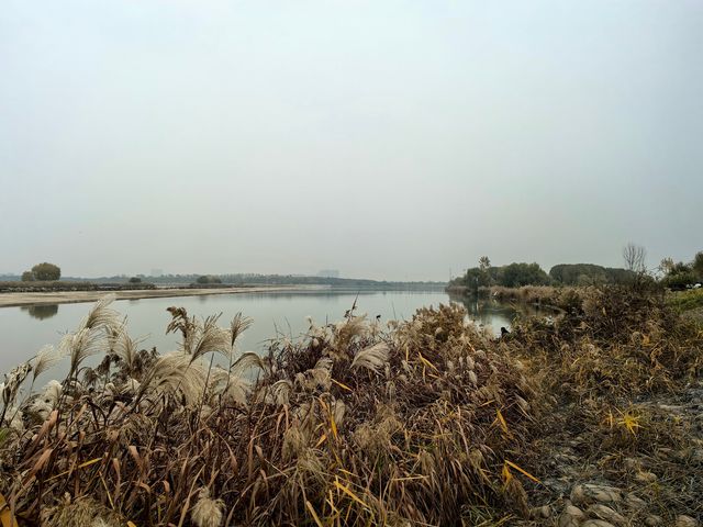 滹沱河生態濕地（城區段）-滹沱濕地。