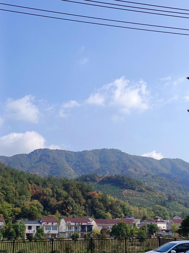少間半書舍民宿。