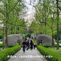中国世界遺産No.1 江蘇省南京 明孝陵