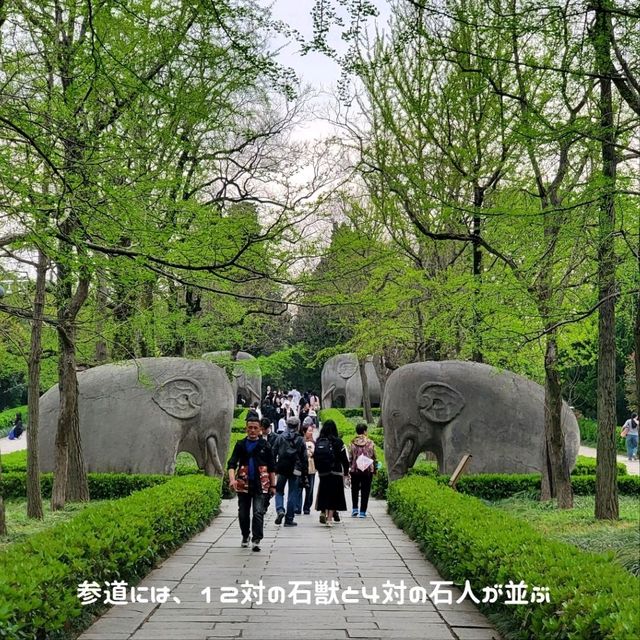 中国世界遺産No.1 江蘇省南京 明孝陵