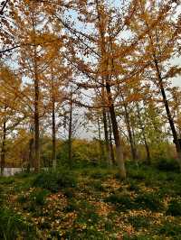 西安雁南公園|這裡的公園不一樣。