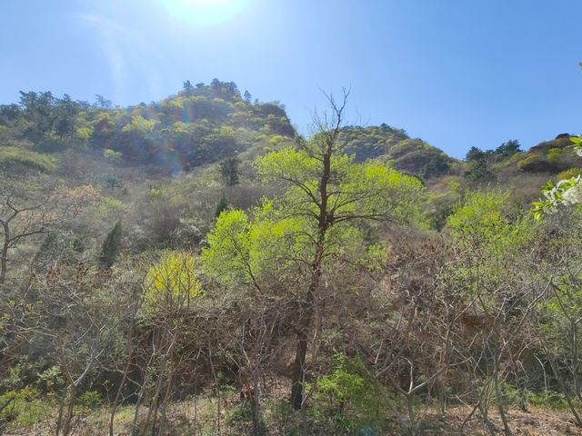 河北遷安|秋色 不小心撿個秋天。