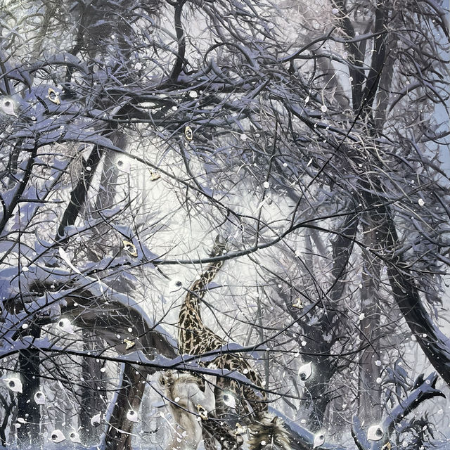 冷酷仙境,極地孤行 冷酷仙境,極地孤行