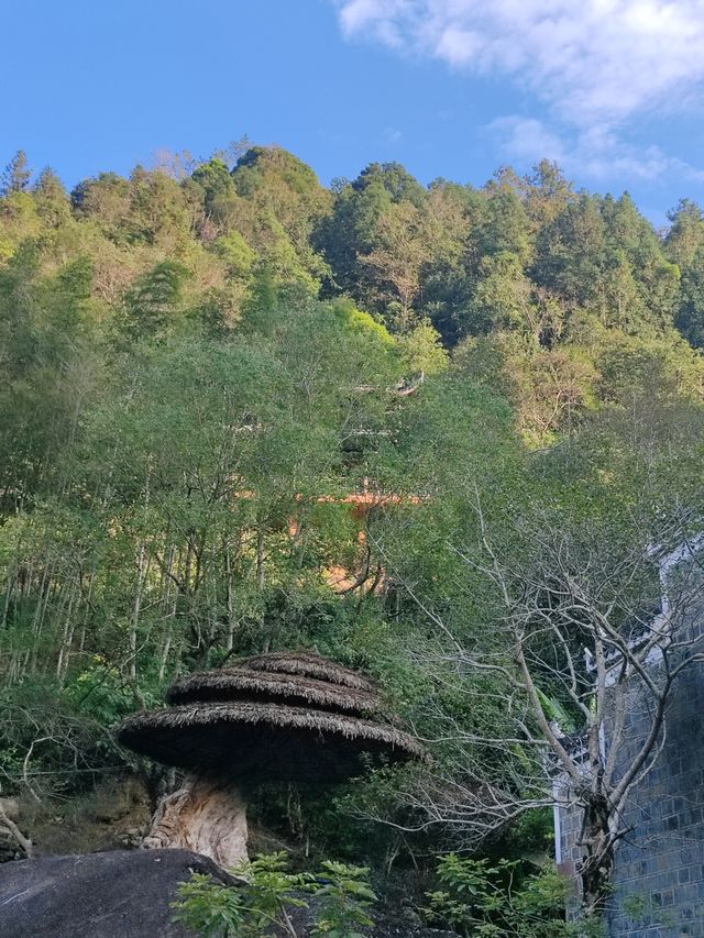 雲髻山很好，但是下次不來了，姊妹們。