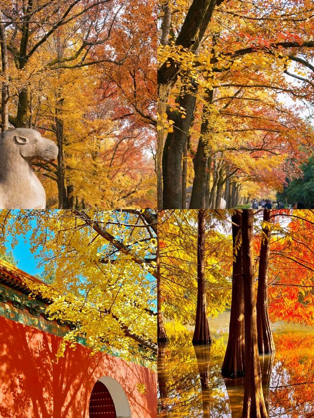 南京三日遊玩路線全攻略。