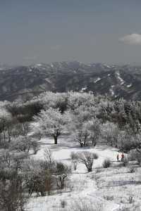 寶雞凍山|美麗「凍」人