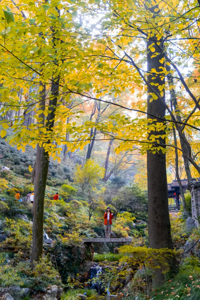 後味が強烈！！南京から1.5時間で紅葉狩りと温泉、心を奪われました