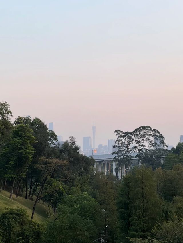 廣州白雲｜雲蘿植物園
