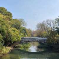 冬日不一樣的西溪湿地公園