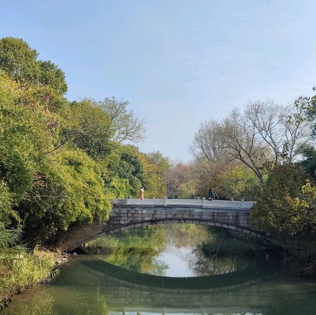 冬日不一樣的西溪湿地公園