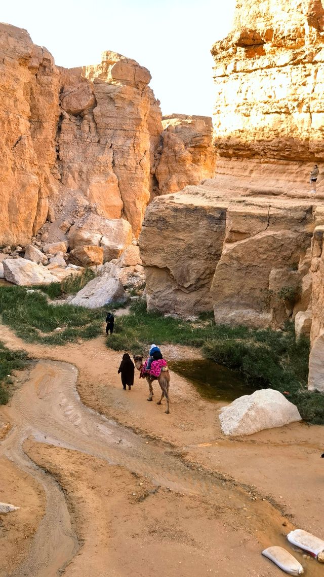 北非摩洛哥突尼斯之旅（21）沙漠綠洲－托澤爾
