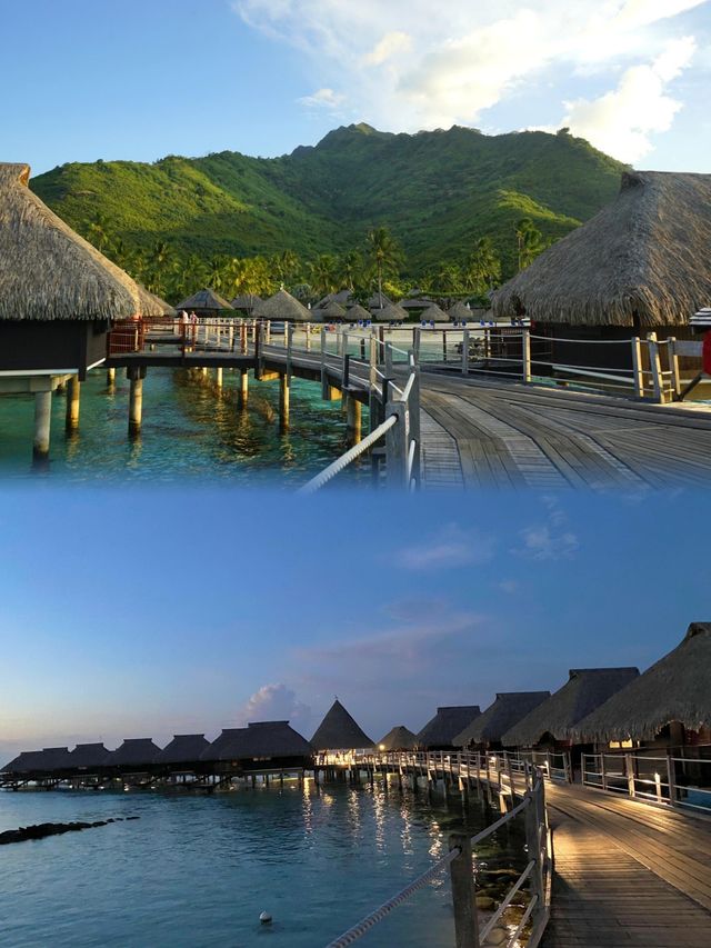 大溪地希爾頓，我的夢幻海島度假日記