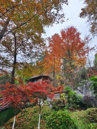 貴州省石阡縣一石阡佛頂山溫泉小鎮泡溫泉