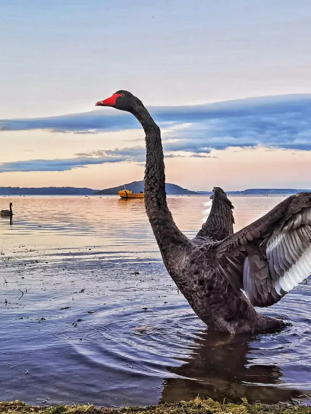 3-Day New Zealand Itinerary: Don't Miss These Stunning Sights!