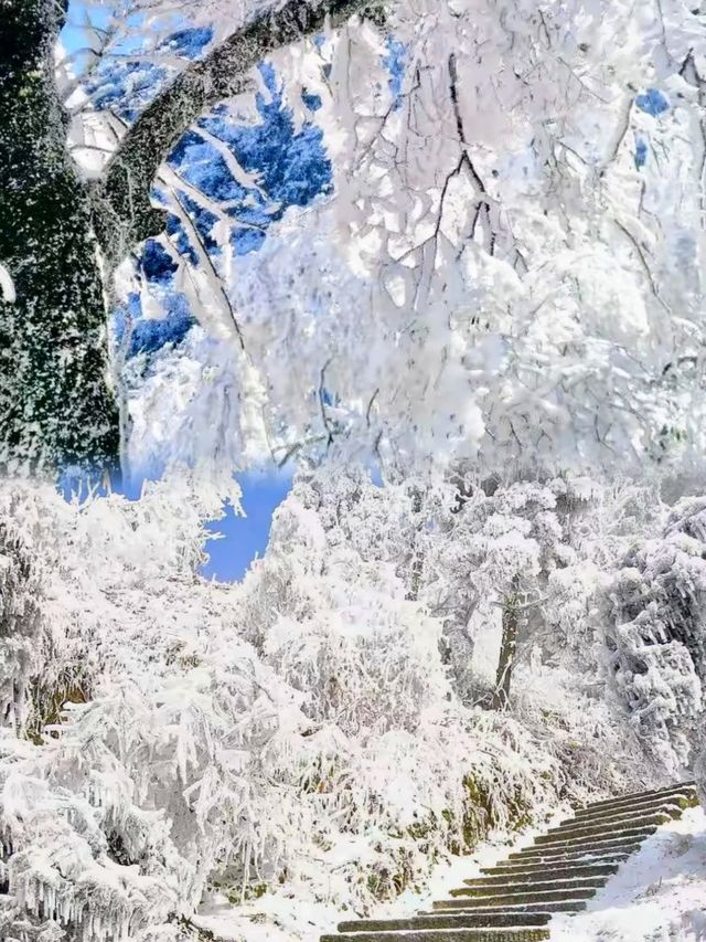 高鐵2h直達最適合廣東人的賞雪聖地