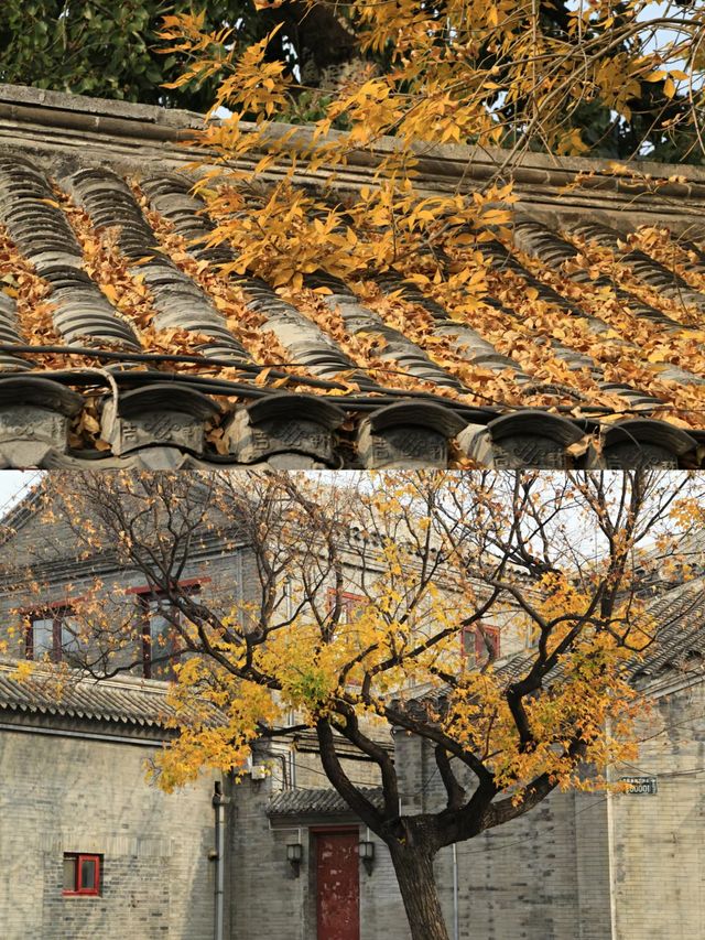 北京漢服體驗‖故宮拍照打卡避坑攻略