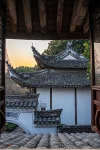 臘梅花開，永遠驚嘆於老祖宗骨子裡的審美！