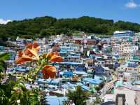 5日遊釜山