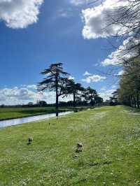 Discover the Enchanting Hampton Court Palace in London