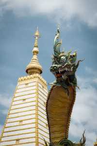 泰國最美寺廟之一🐉罕見的雌雄娜迦