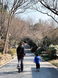 親子遊玩 杭州富春芳草地兩天一夜攻略