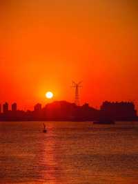 廈門旅遊｜看完夕陽，欣賞燈會