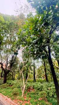 迎春本地遊｜市中心難得的大片綠地——人民公園